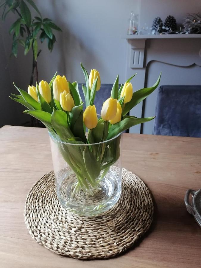 Villa Petit Bonheur Oudenaarde Esterno foto